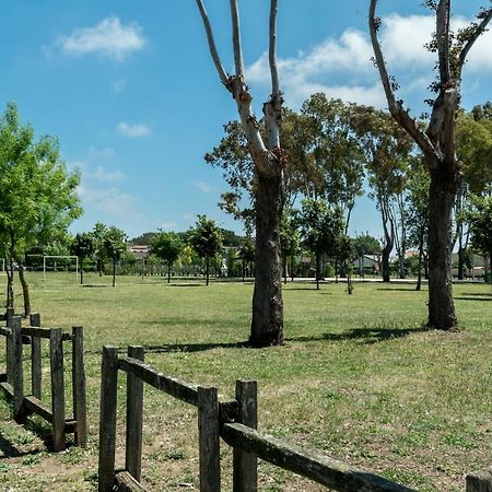 Alloggio Per Uso Turistico Villa Lido dei Pini Dış mekan fotoğraf