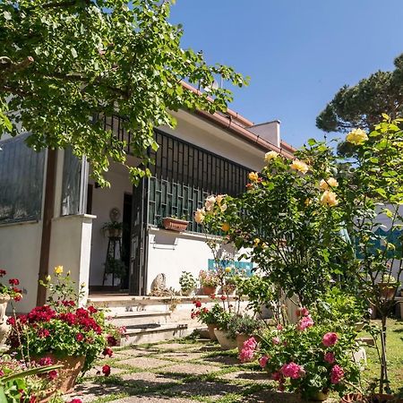 Alloggio Per Uso Turistico Villa Lido dei Pini Dış mekan fotoğraf