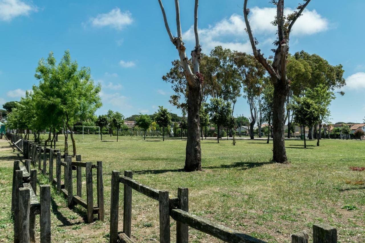 Alloggio Per Uso Turistico Villa Lido dei Pini Dış mekan fotoğraf